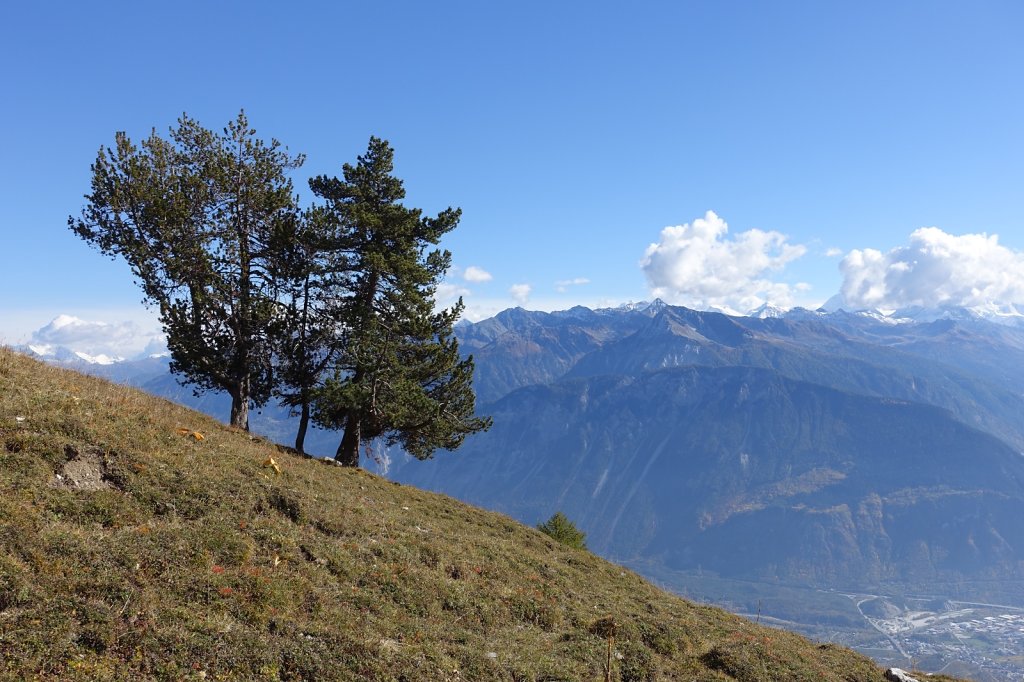 Bisse du Tsittoret, Petit Mont Bonvin (10.10.2015)