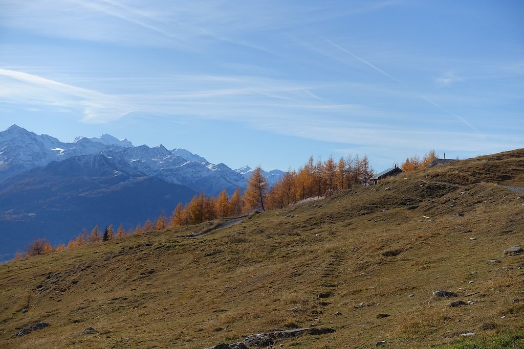 Flore, Croix de la Tsa (08.11.2015)