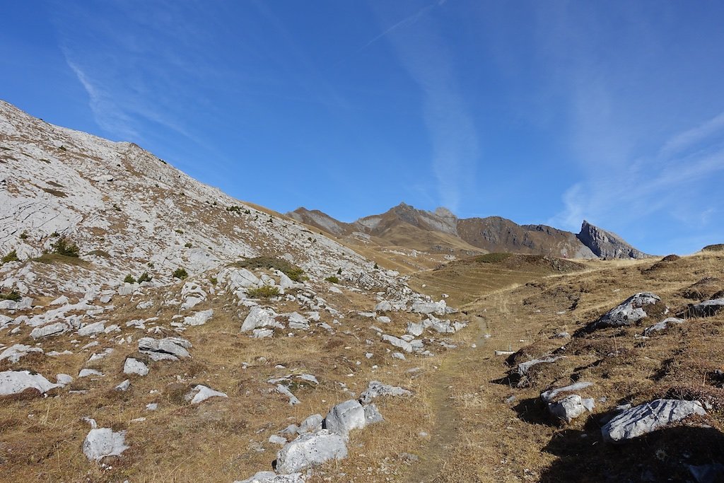 Flore, Croix de la Tsa (08.11.2015)