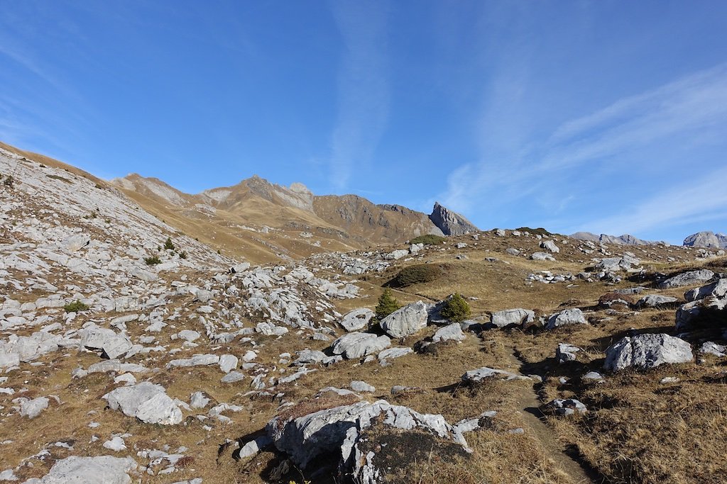 Flore, Croix de la Tsa (08.11.2015)