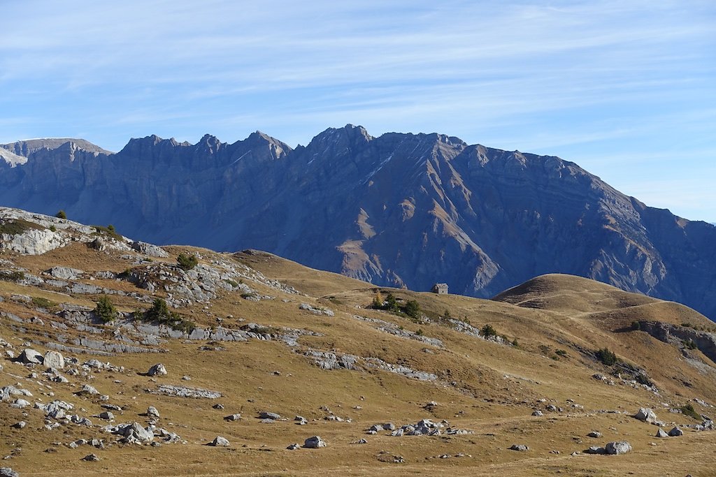 Flore, Croix de la Tsa (08.11.2015)