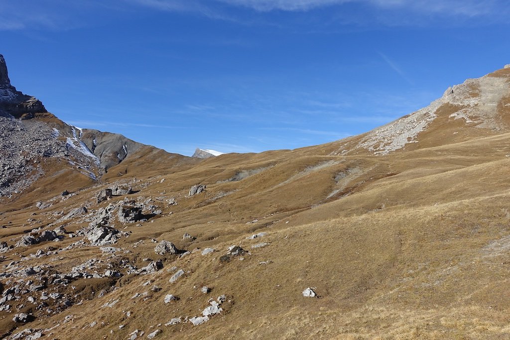 Flore, Croix de la Tsa (08.11.2015)