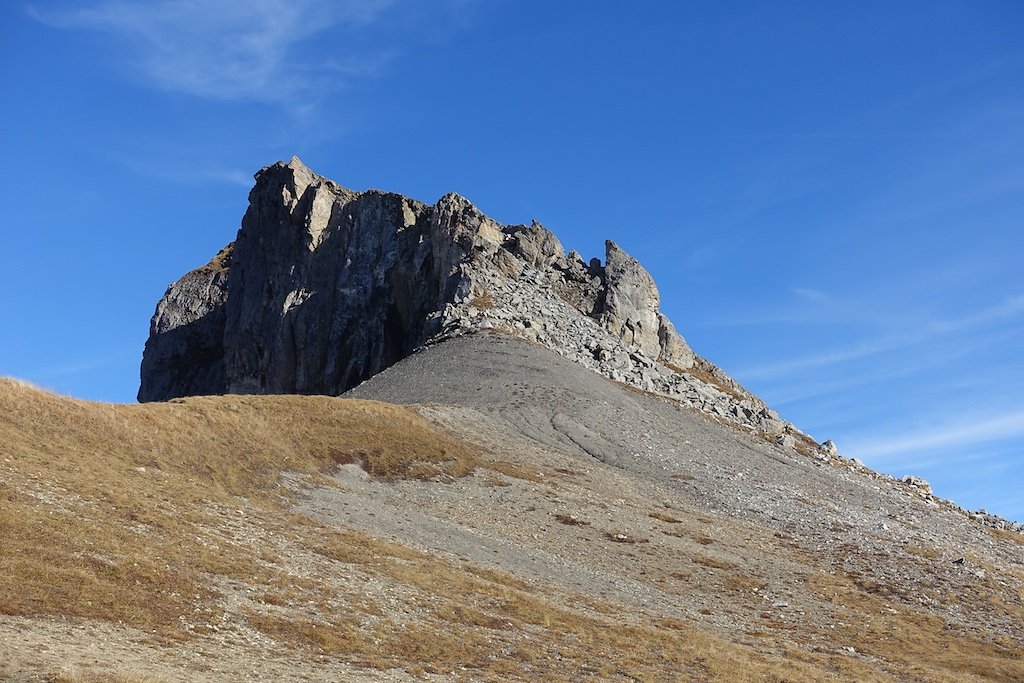 Flore, Croix de la Tsa (08.11.2015)