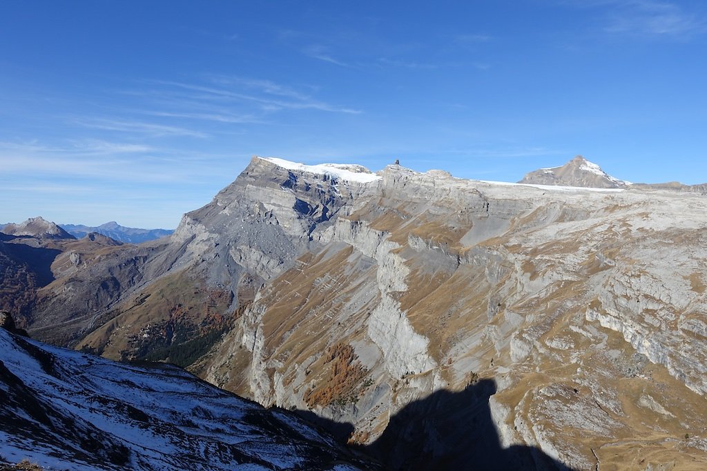 Flore, Croix de la Tsa (08.11.2015)