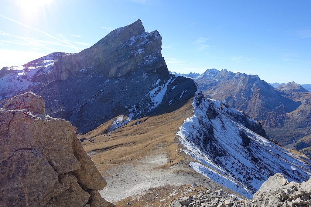 Flore, Croix de la Tsa (08.11.2015)