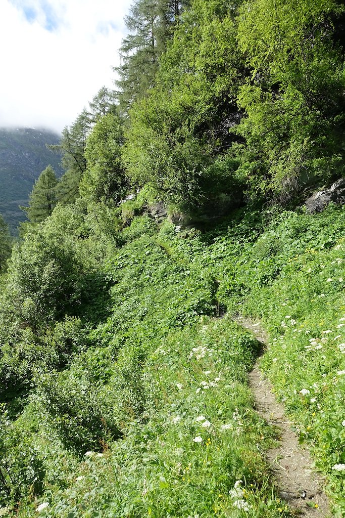 Cabane du Petit-Mountet (04.07.2016)