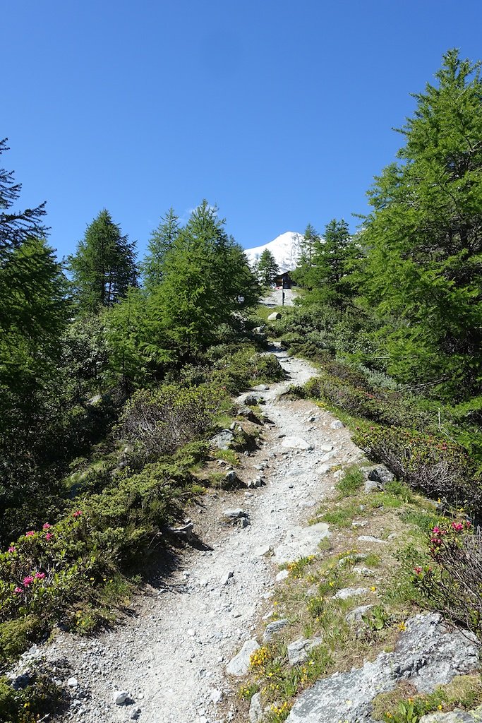 Cabane du Petit-Mountet (04.07.2016)