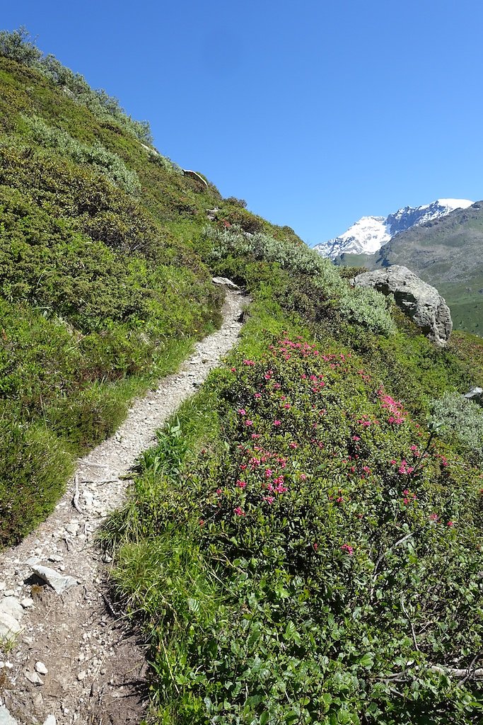 Cabane du Petit-Mountet (04.07.2016)