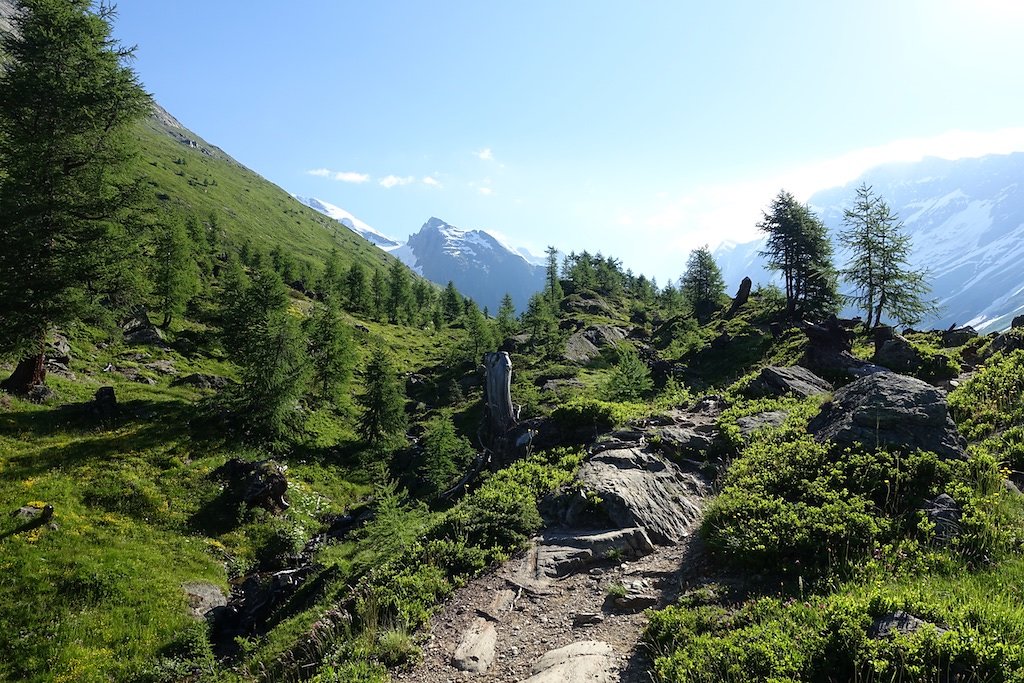 AnenHütte (10.07.2016)