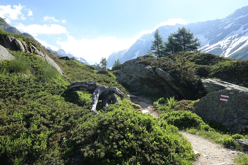 AnenHütte (10.07.2016)