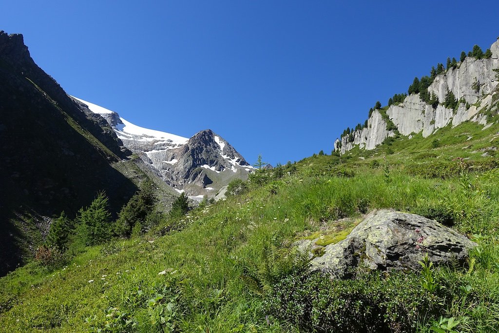 Col de la Forclaz, Chalet Les Grands, Col de Balme, Trient, Col de la Forclaz (07.08.2016)