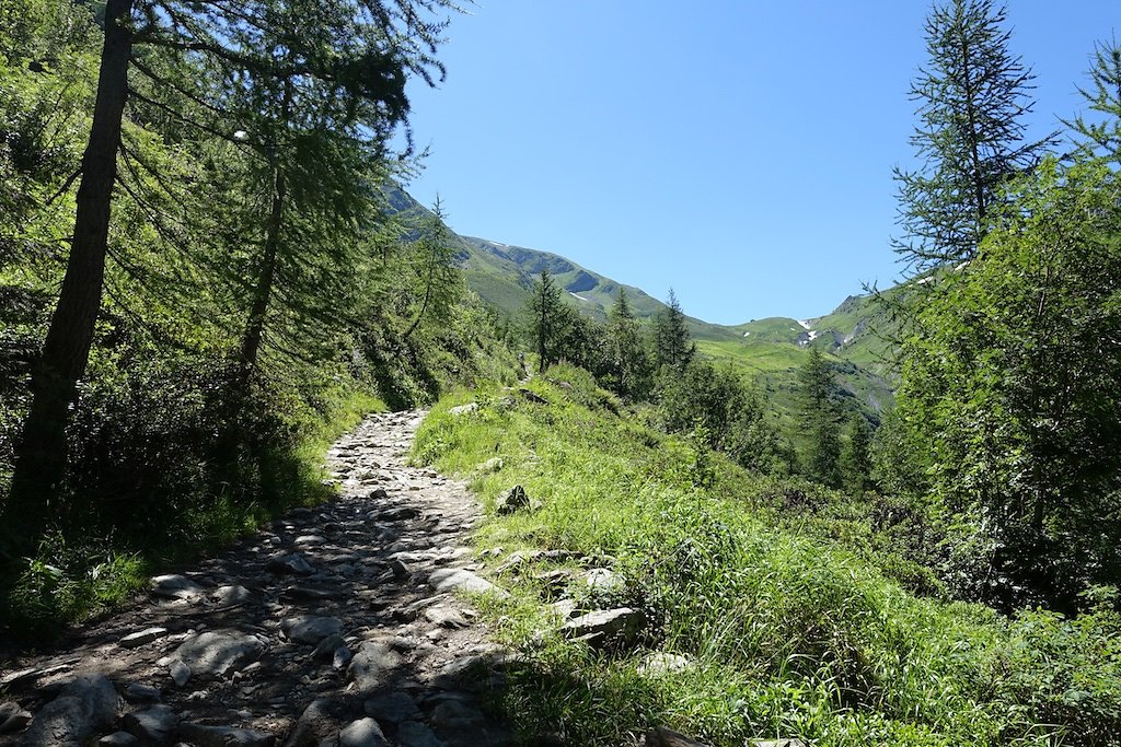 Col de la Forclaz, Chalet Les Grands, Col de Balme, Trient, Col de la Forclaz (07.08.2016)