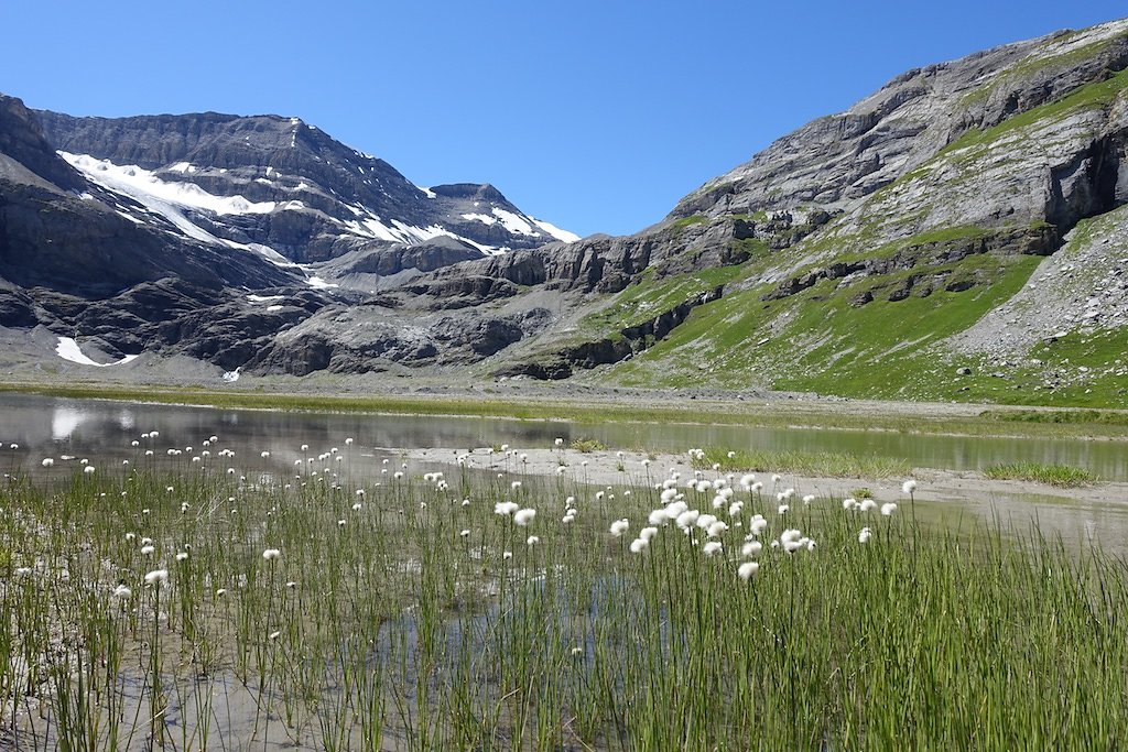 Lämmerenhütte (13.08.2016)