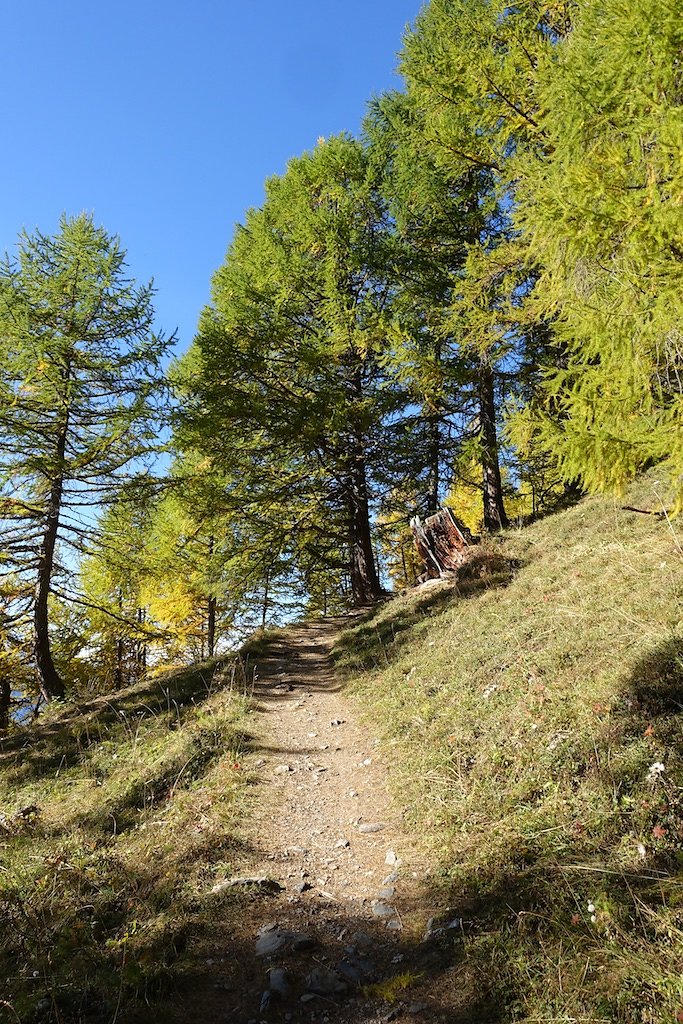 L'Erié, Sorniot, Demècre (16.10.2016)