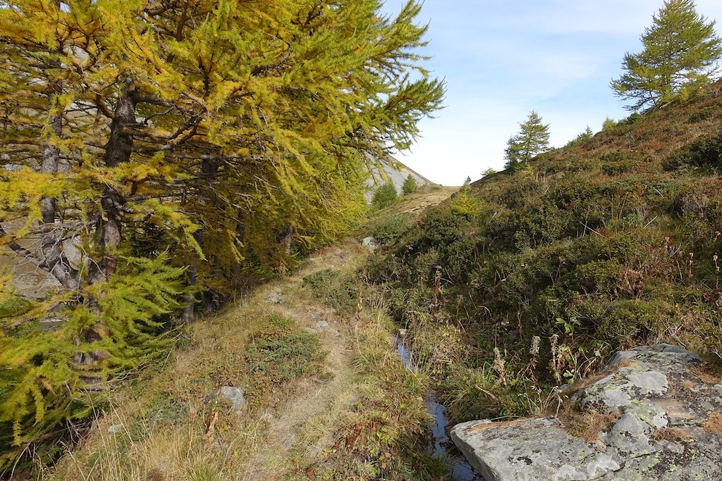 L'Erié, Sorniot, Demècre (16.10.2016)