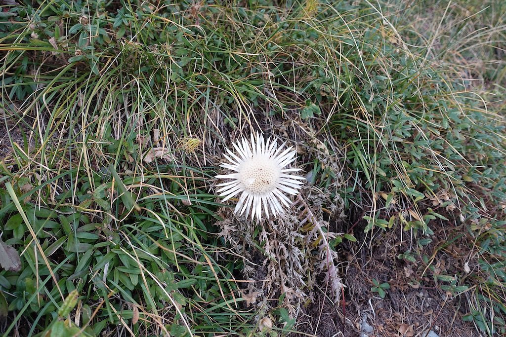 L'Erié, Sorniot, Demècre (16.10.2016)
