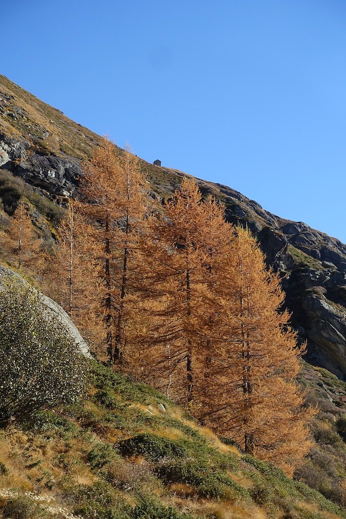 Ferpècle, Bricola (01.11.2016)