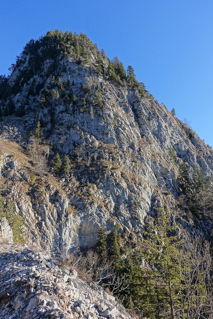 Col de Savalène, Torgon (17.12.2016)