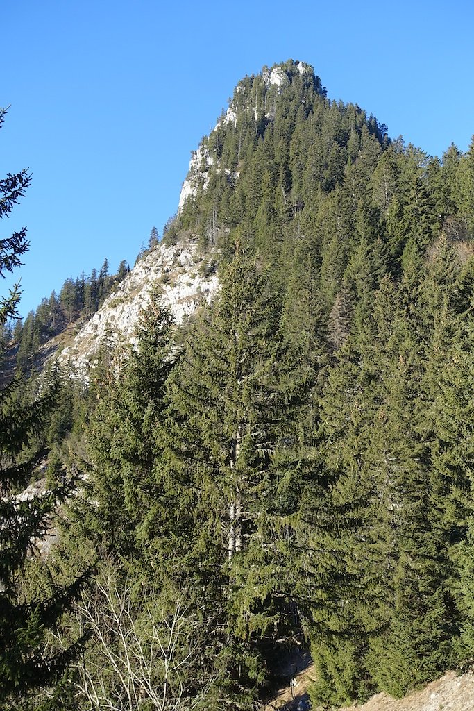 Col de Savalène, Torgon (17.12.2016)