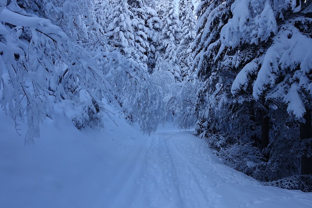 La Boucielle, Forniri (Anzère) (15.01.2017)