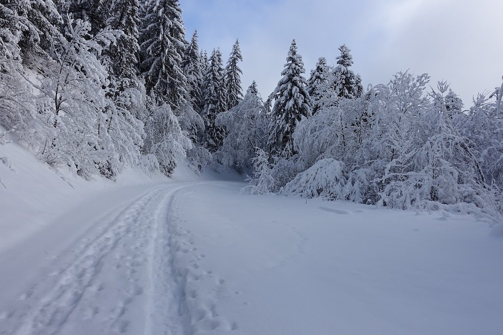 La Boucielle, Forniri (Anzère) (15.01.2017)