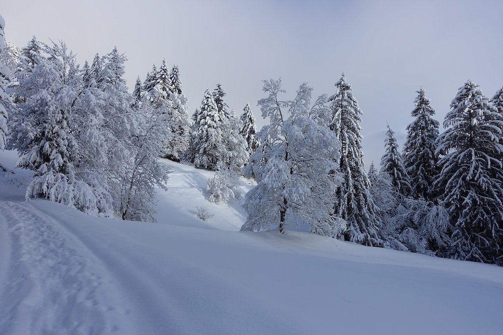 La Boucielle, Forniri (Anzère) (15.01.2017)