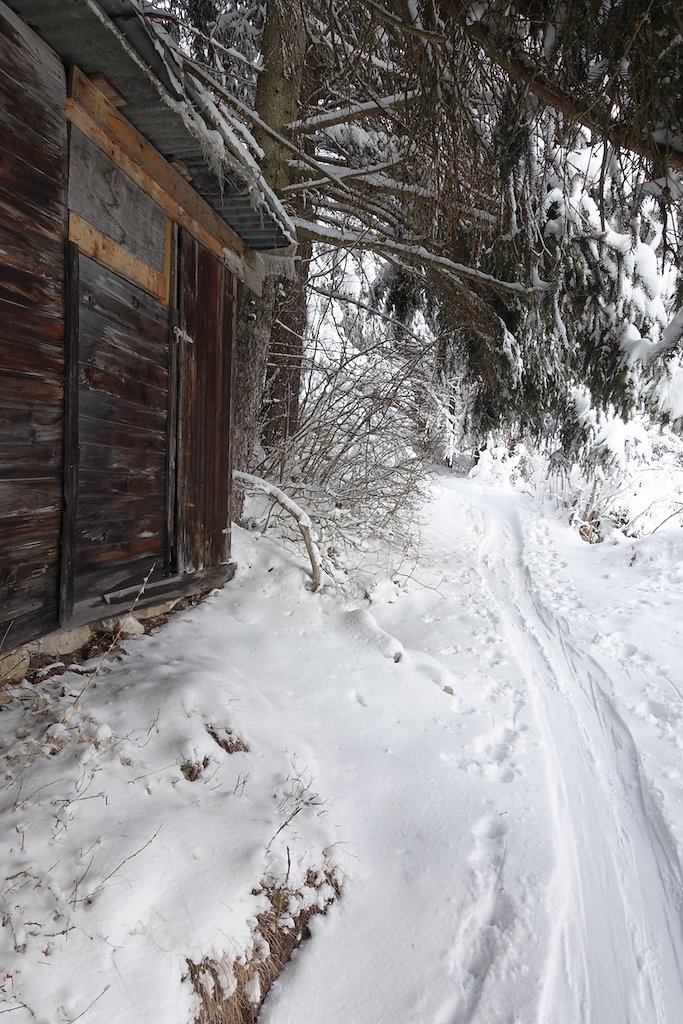 La Boucielle, Forniri (Anzère) (15.01.2017)