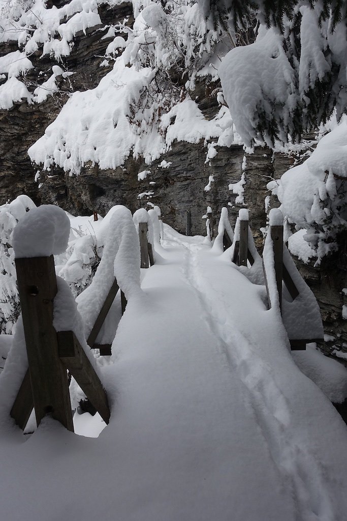 La Boucielle, Forniri (Anzère) (15.01.2017)