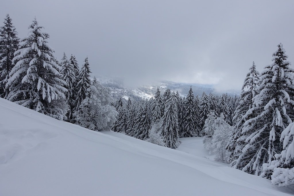 La Boucielle, Forniri (Anzère) (15.01.2017)