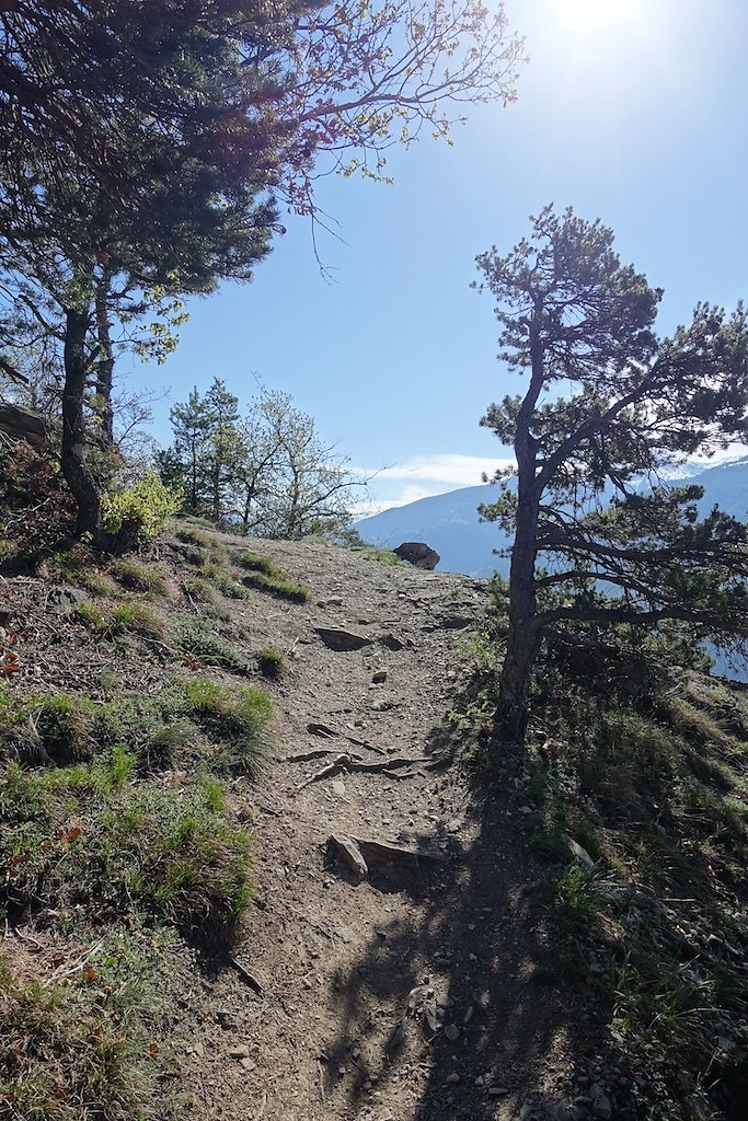 Les Planisses (St-Léonard), Christ-Roi, Lens, Bisse de Sillonin (17.04.2017)