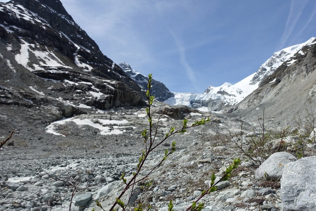 Glacier du Mont Miné, Ferpècle (25.05.2017)