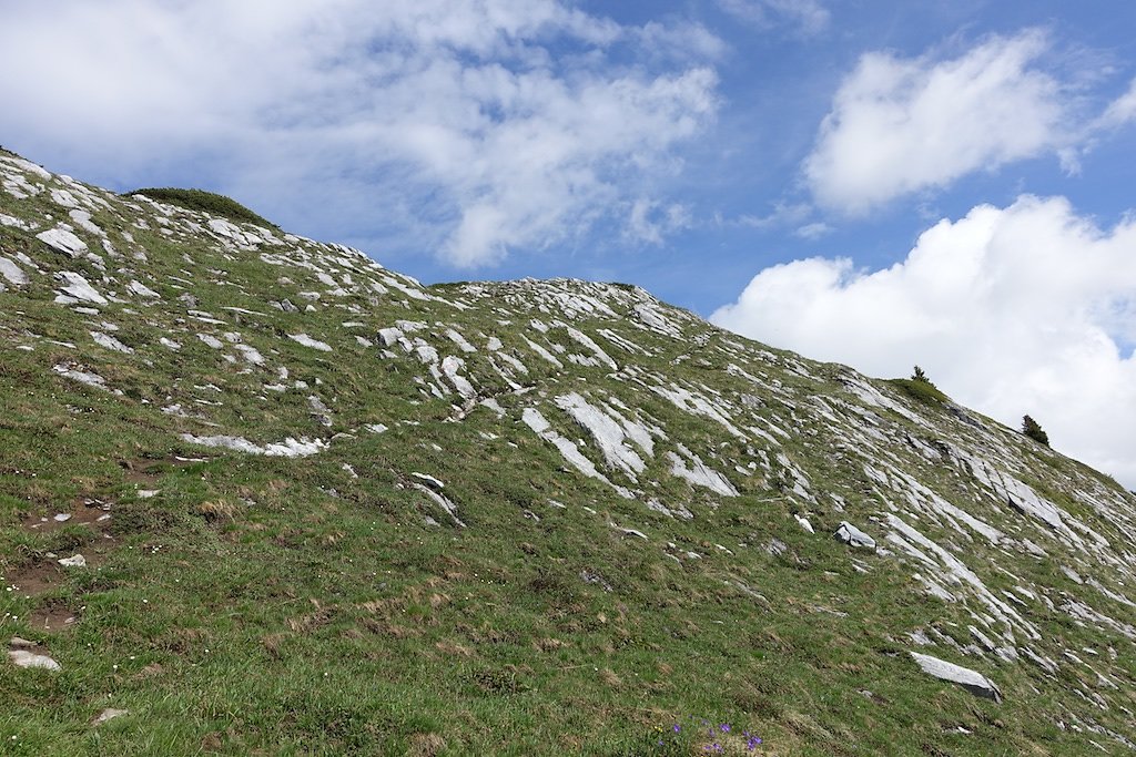 Refuge d'Ayroz - Gîte de Lodze (03.06.2017)