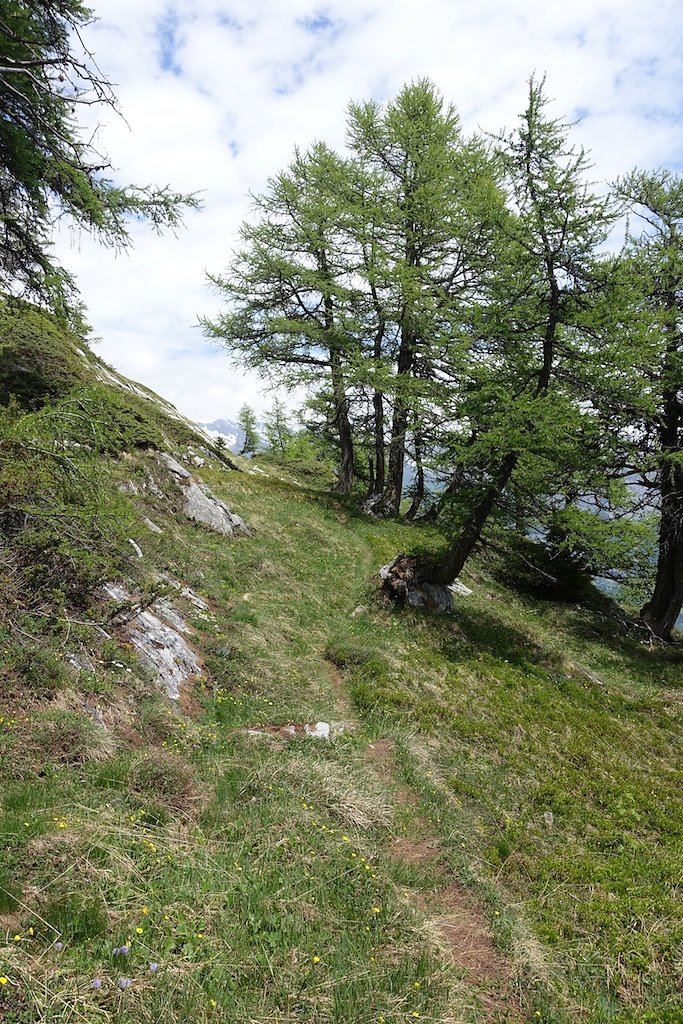 Refuge d'Ayroz - Gîte de Lodze (03.06.2017)