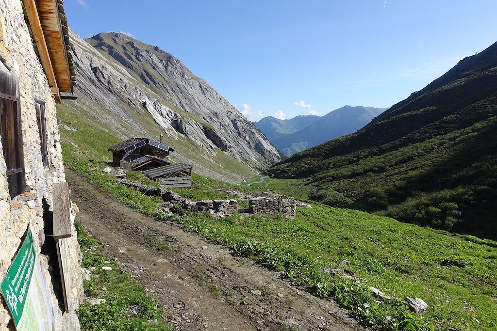 Combe de l'A, Le Basset (10.06.2017)