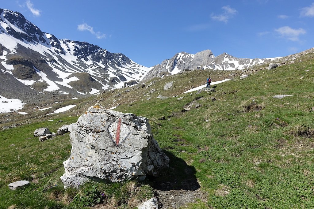 Combe de l'A, Le Basset (10.06.2017)