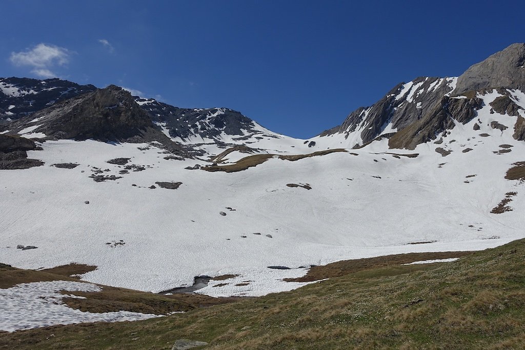 Combe de l'A, Le Basset (10.06.2017)