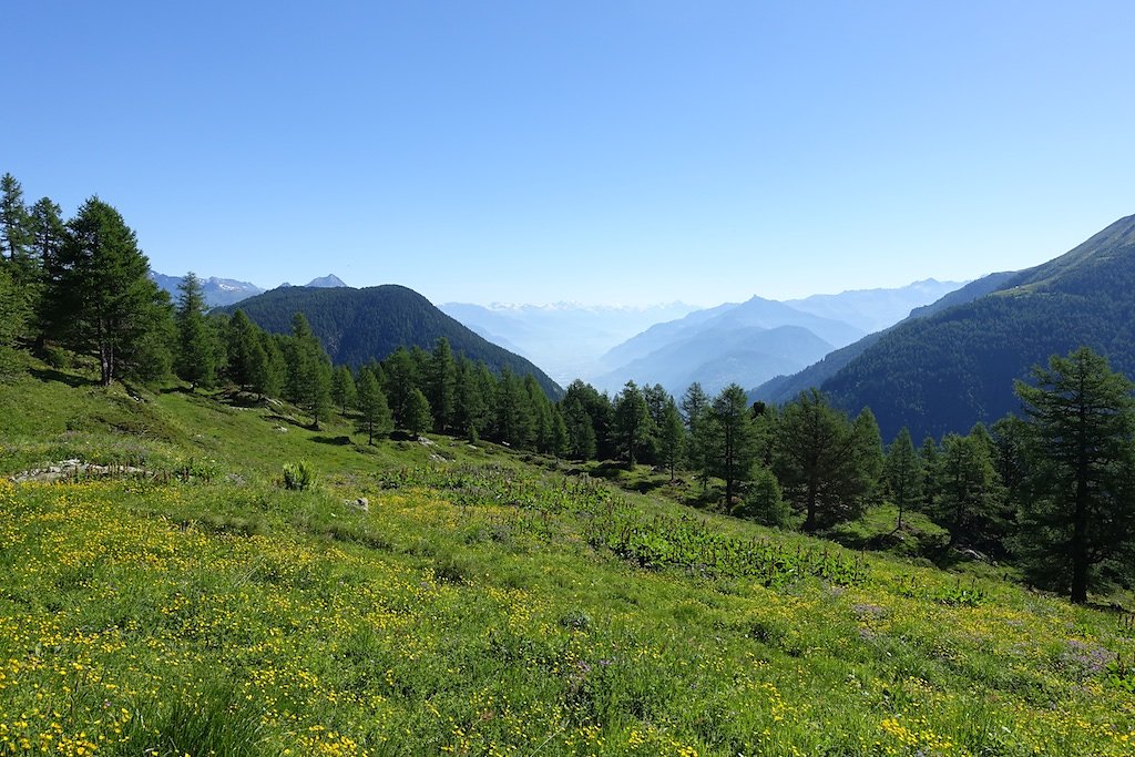 Trient, Tseppes, Col de Balme (18.06.2017)