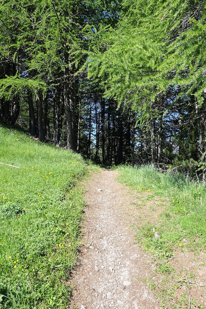 Trient, Tseppes, Col de Balme (18.06.2017)