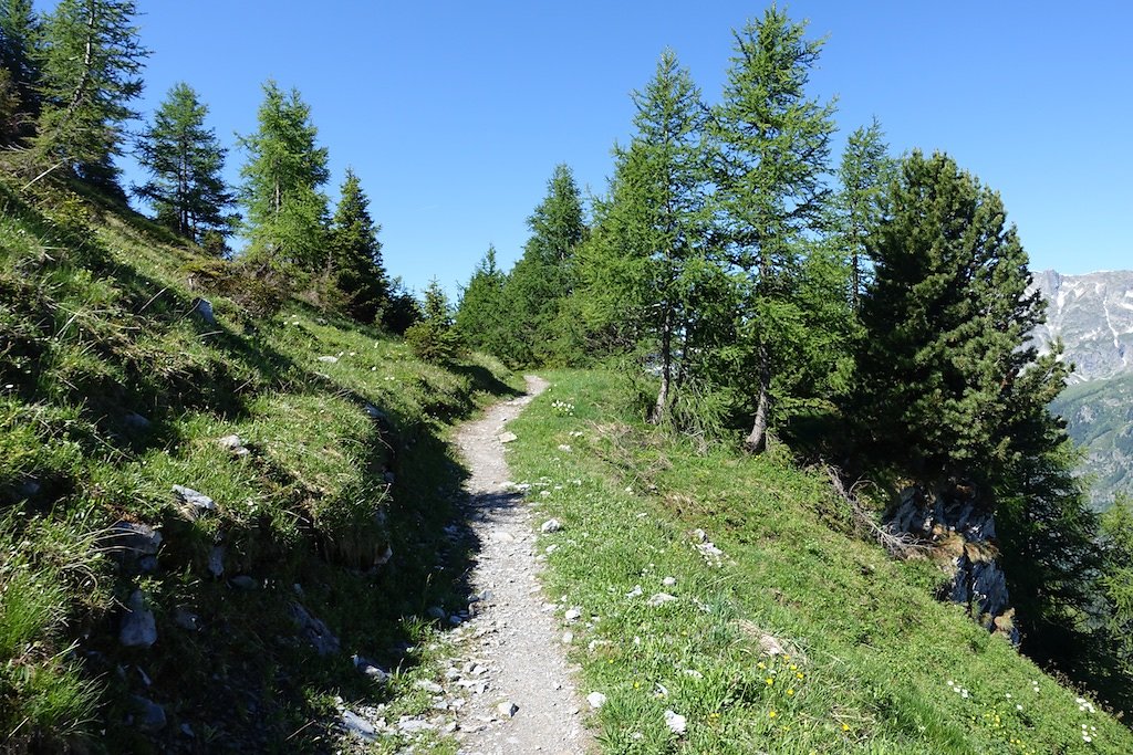 Trient, Tseppes, Col de Balme (18.06.2017)