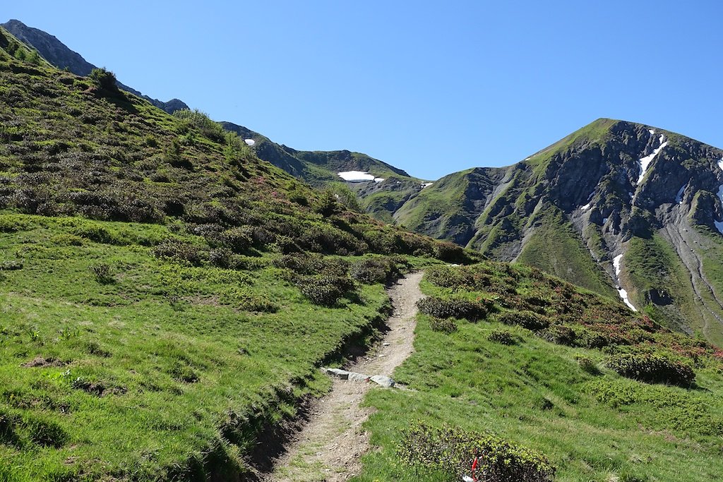 Trient, Tseppes, Col de Balme (18.06.2017)