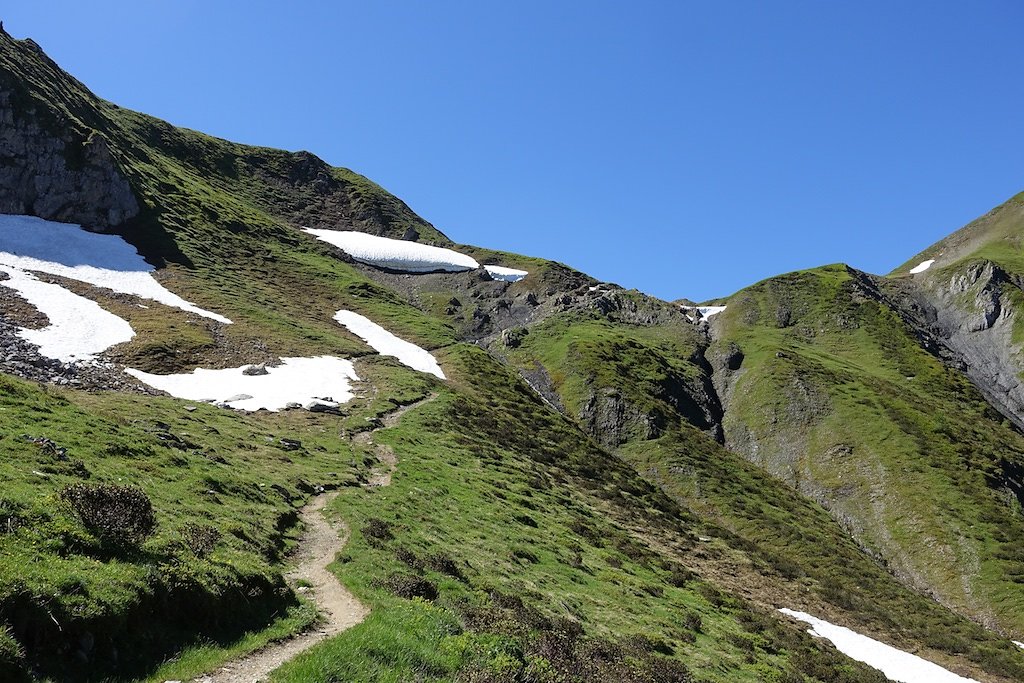 Trient, Tseppes, Col de Balme (18.06.2017)