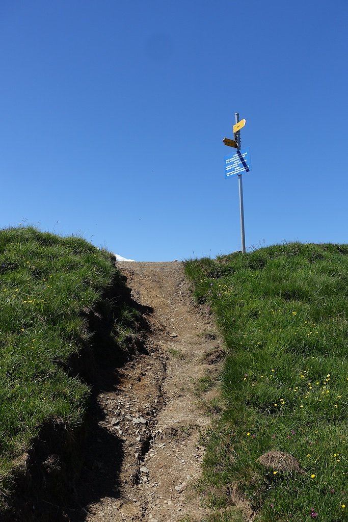 Trient, Tseppes, Col de Balme (18.06.2017)