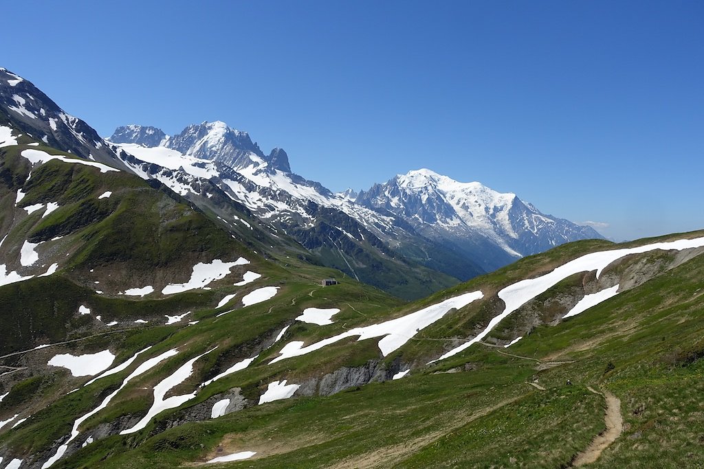 Trient, Tseppes, Col de Balme (18.06.2017)