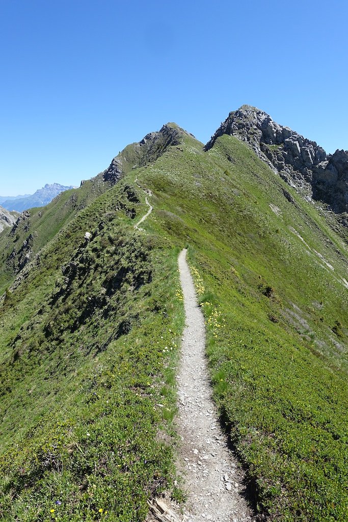 Trient, Tseppes, Col de Balme (18.06.2017)