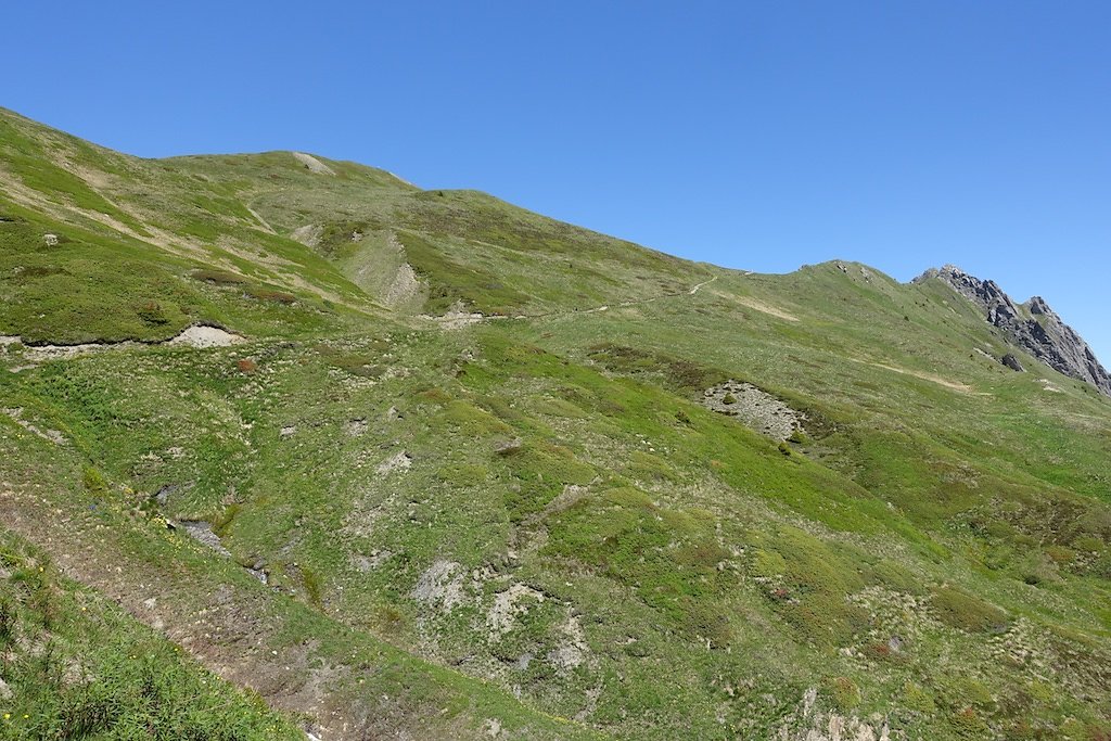 Trient, Tseppes, Col de Balme (18.06.2017)
