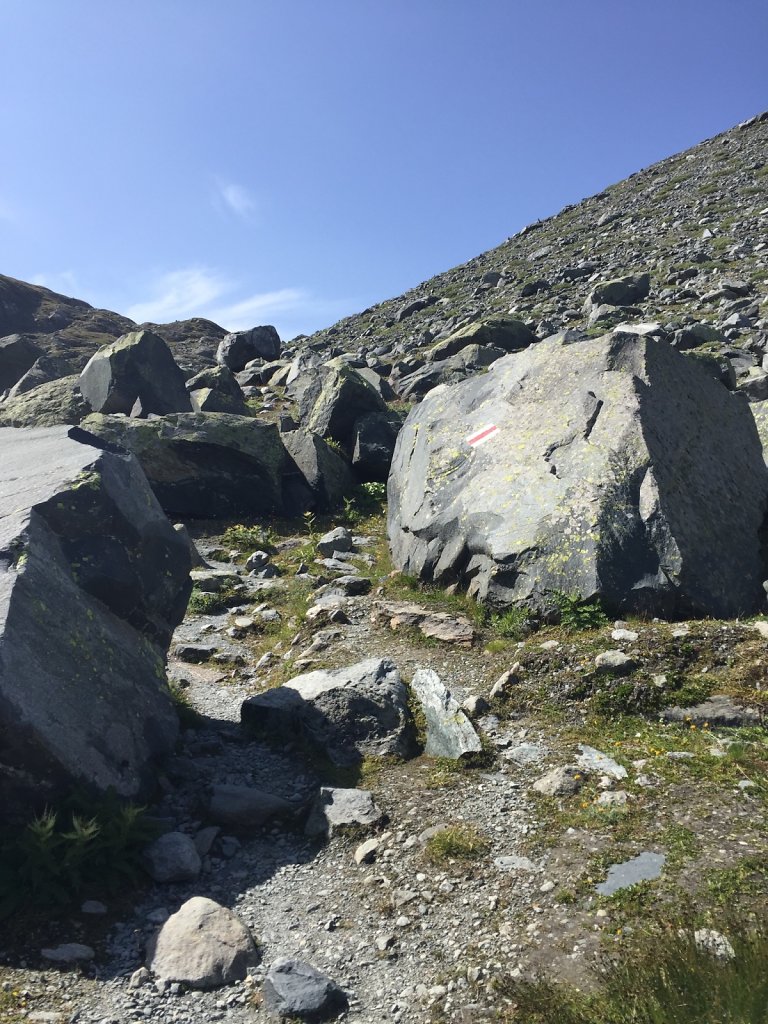 Cleuson, Lac du Gd Désert (01.08.2017)