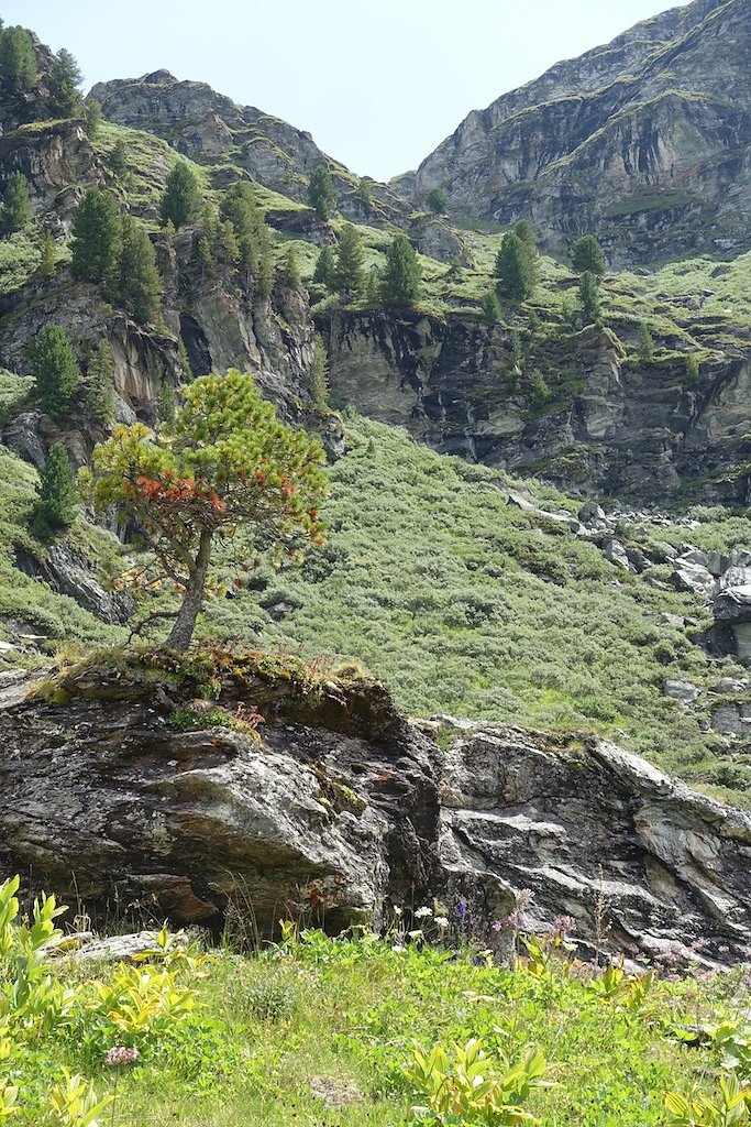 Cleuson, Lac du Gd Désert (01.08.2017)