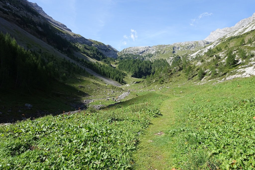 Gîte de Dorbon (15.08.2017)
