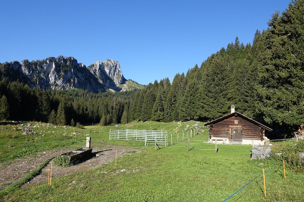 Salavène, Lac d'Arvouin, Sevan, Col d'Outanne, Col de Sevan, Torgon (22.08.2017)