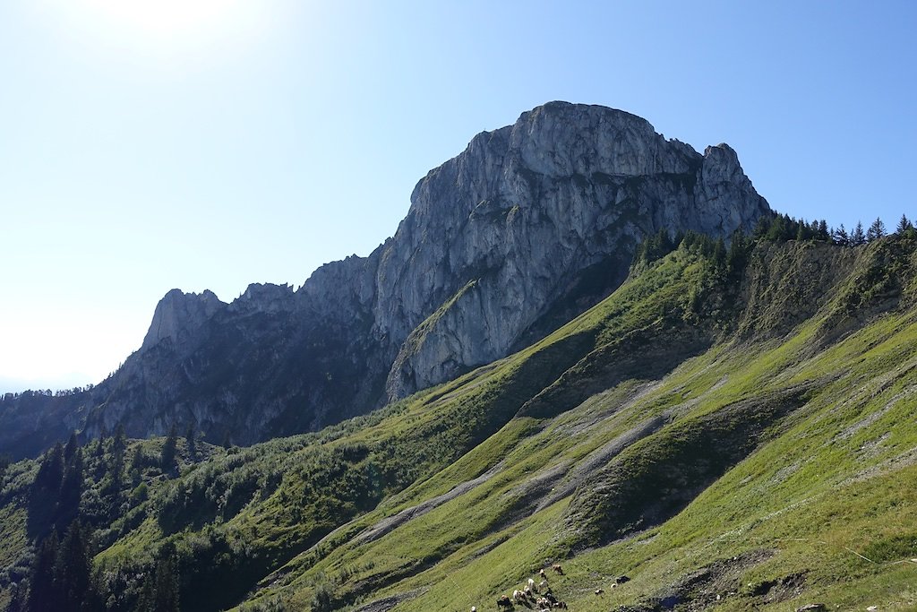 Salavène, Lac d'Arvouin, Sevan, Col d'Outanne, Col de Sevan, Torgon (22.08.2017)